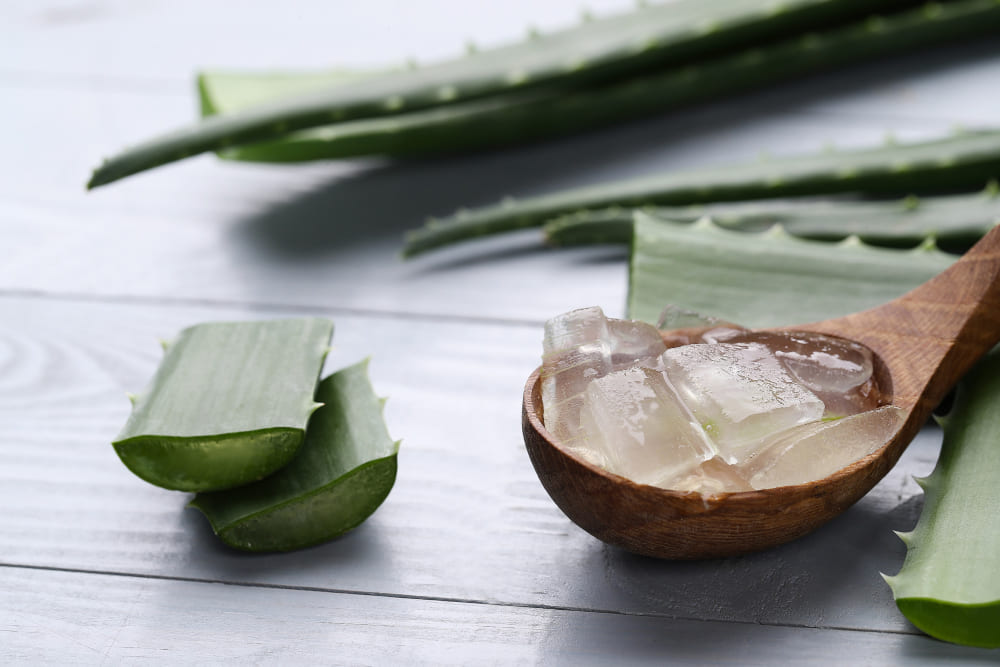 Lee más sobre el artículo 5 Increíbles beneficios del Aloe Vera para las quemaduras