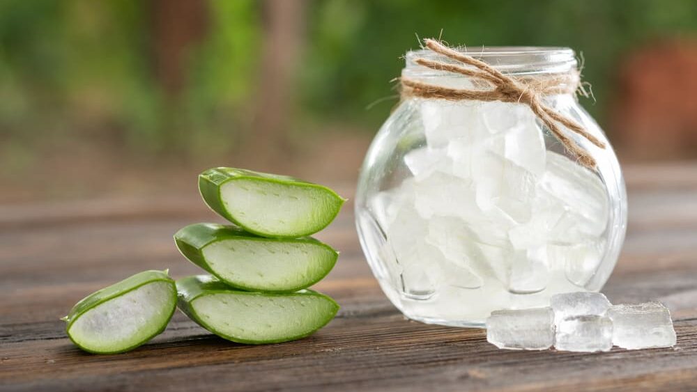 5 Increíbles beneficios del Aloe Vera para las quemaduras